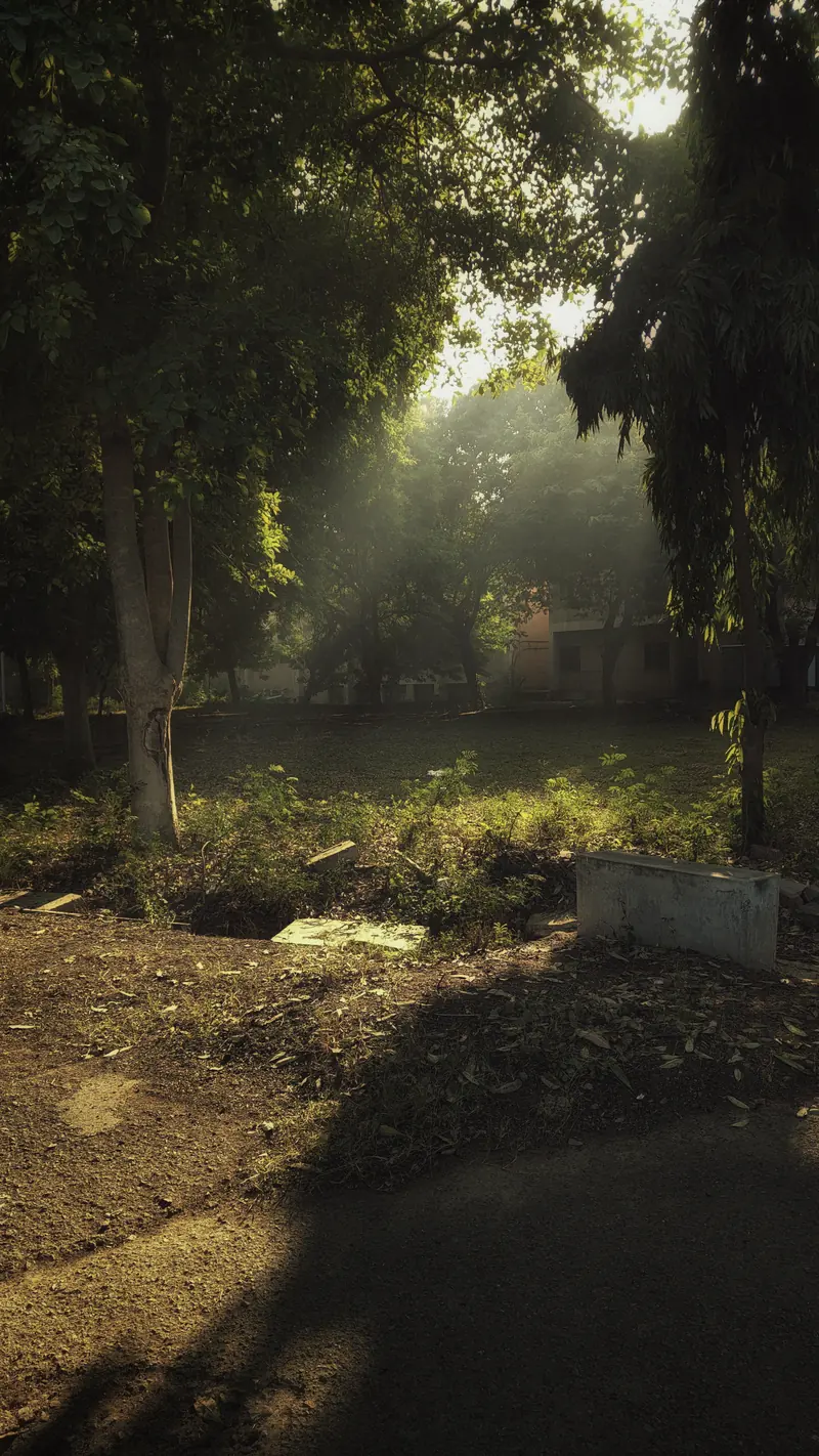 Photograph 6 by Sangam Pratap Singh