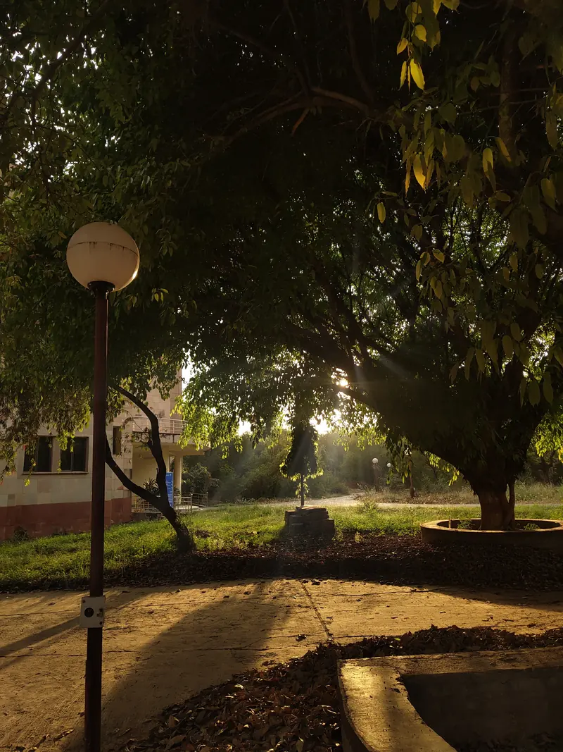 Photograph 5 by Sangam Pratap Singh