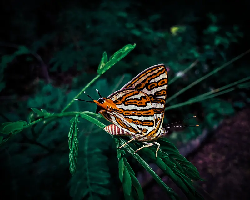 Photograph 13 by Sangam Pratap Singh