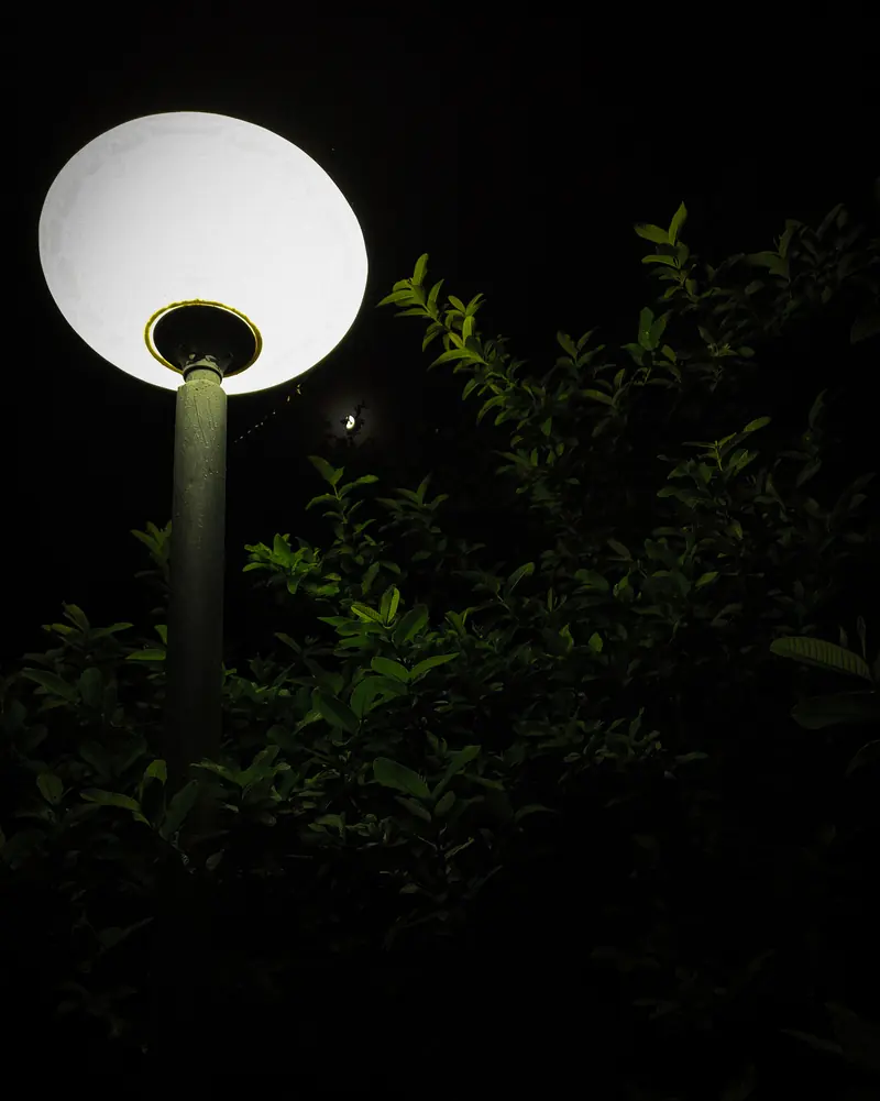 Photograph 27 by Sangam Pratap Singh