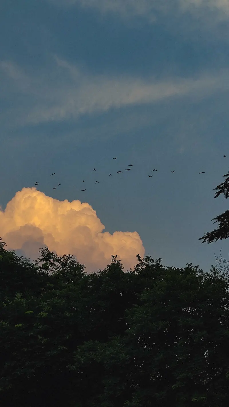 Photograph 10 by Sangam Pratap Singh