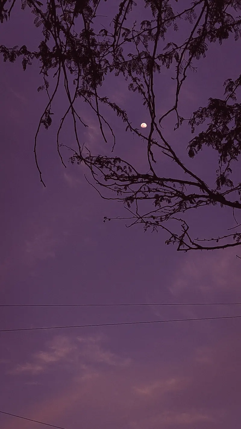Photograph 18 by Sangam Pratap Singh