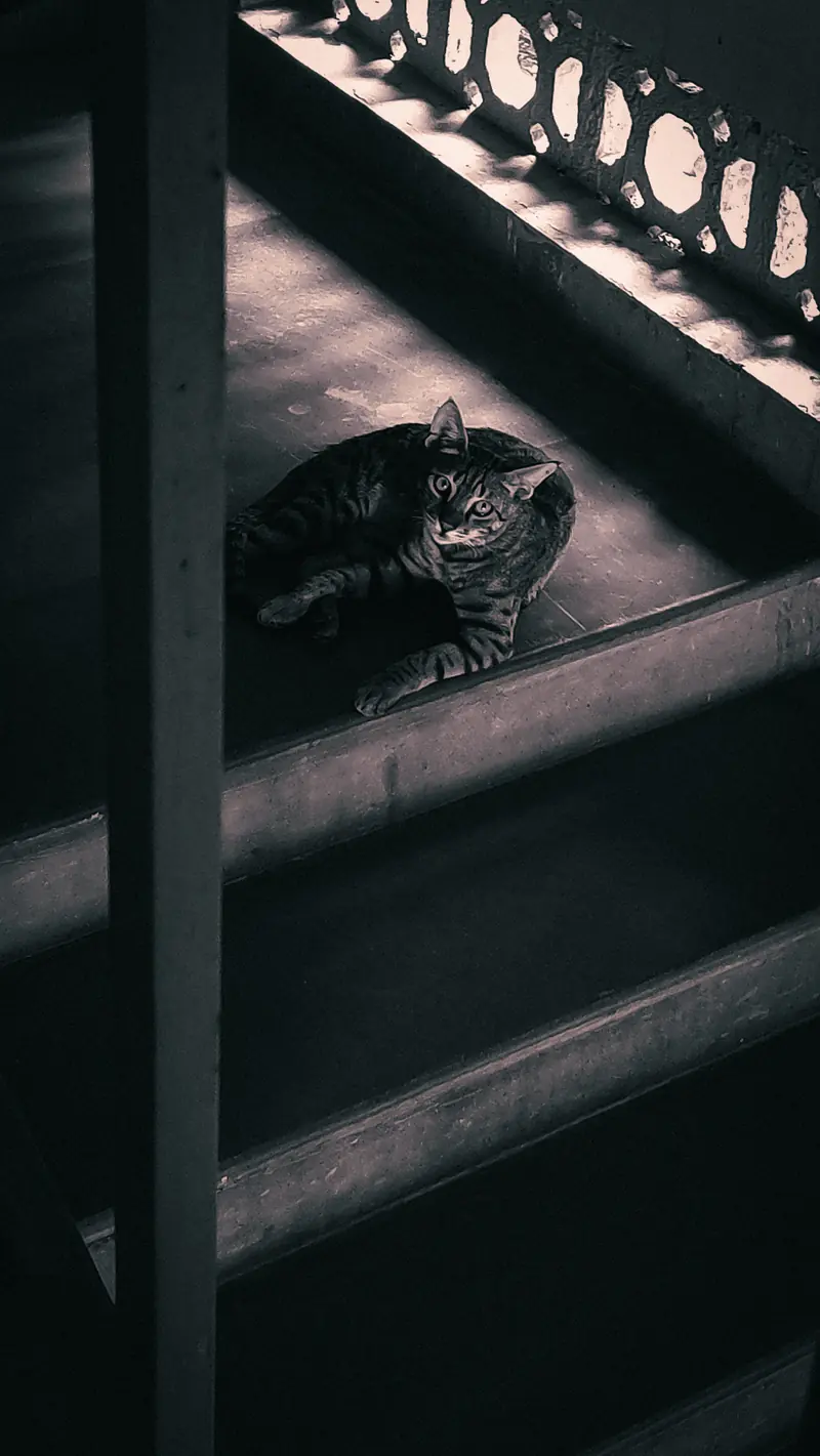 Photograph 16 by Sangam Pratap Singh