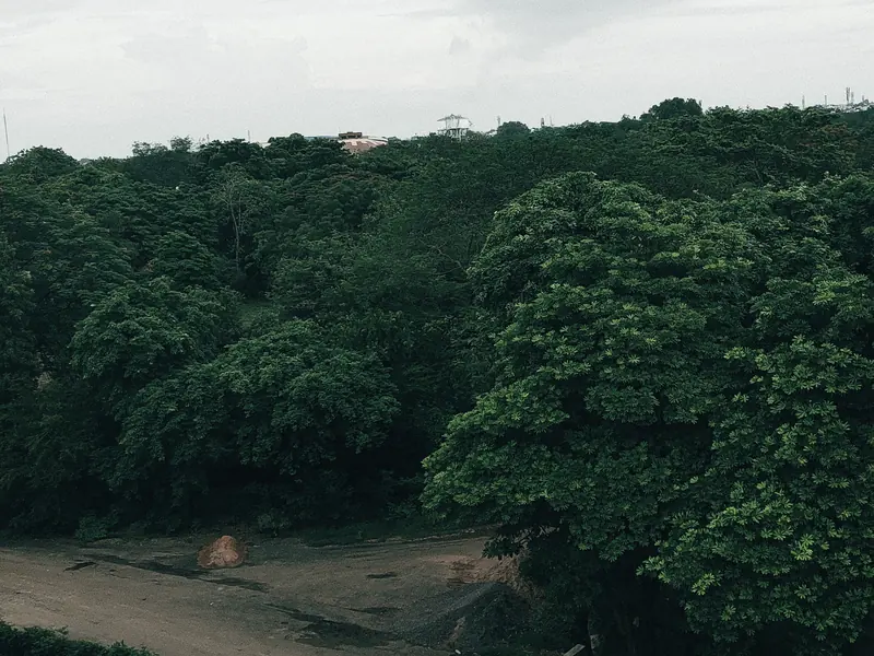 Photograph 15 by Sangam Pratap Singh
