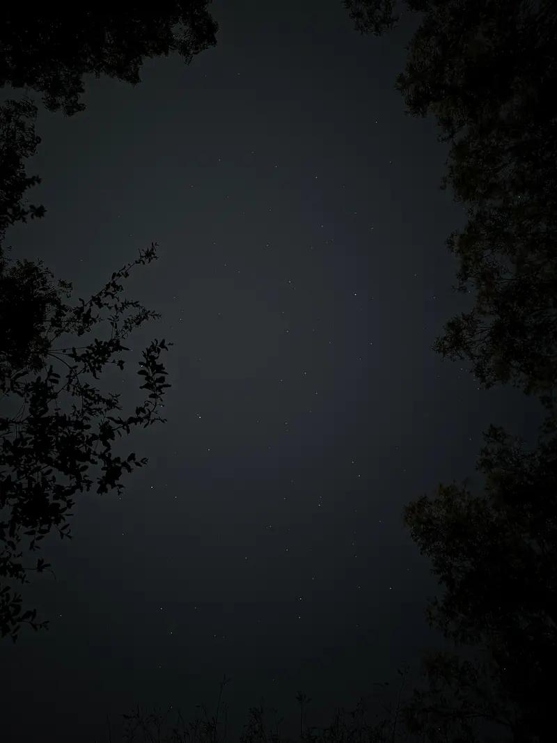 Photograph 12 by Sangam Pratap Singh